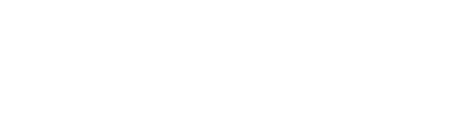Hotel Cash Management System